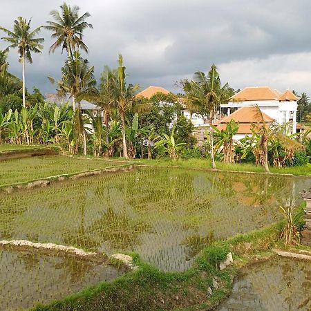 Villa Lanus Ubud Dış mekan fotoğraf