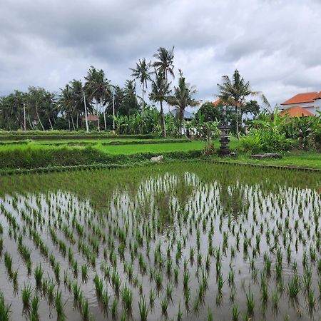 Villa Lanus Ubud Dış mekan fotoğraf