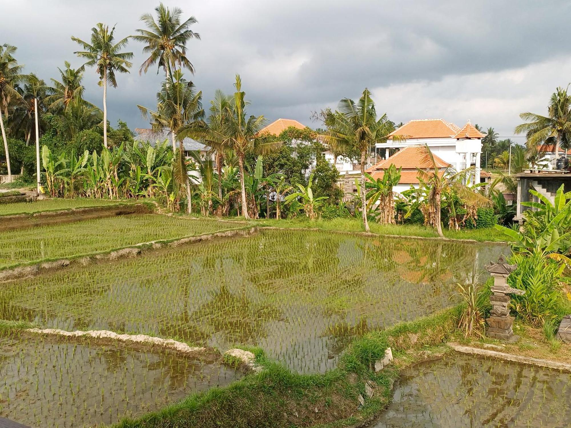 Villa Lanus Ubud Dış mekan fotoğraf