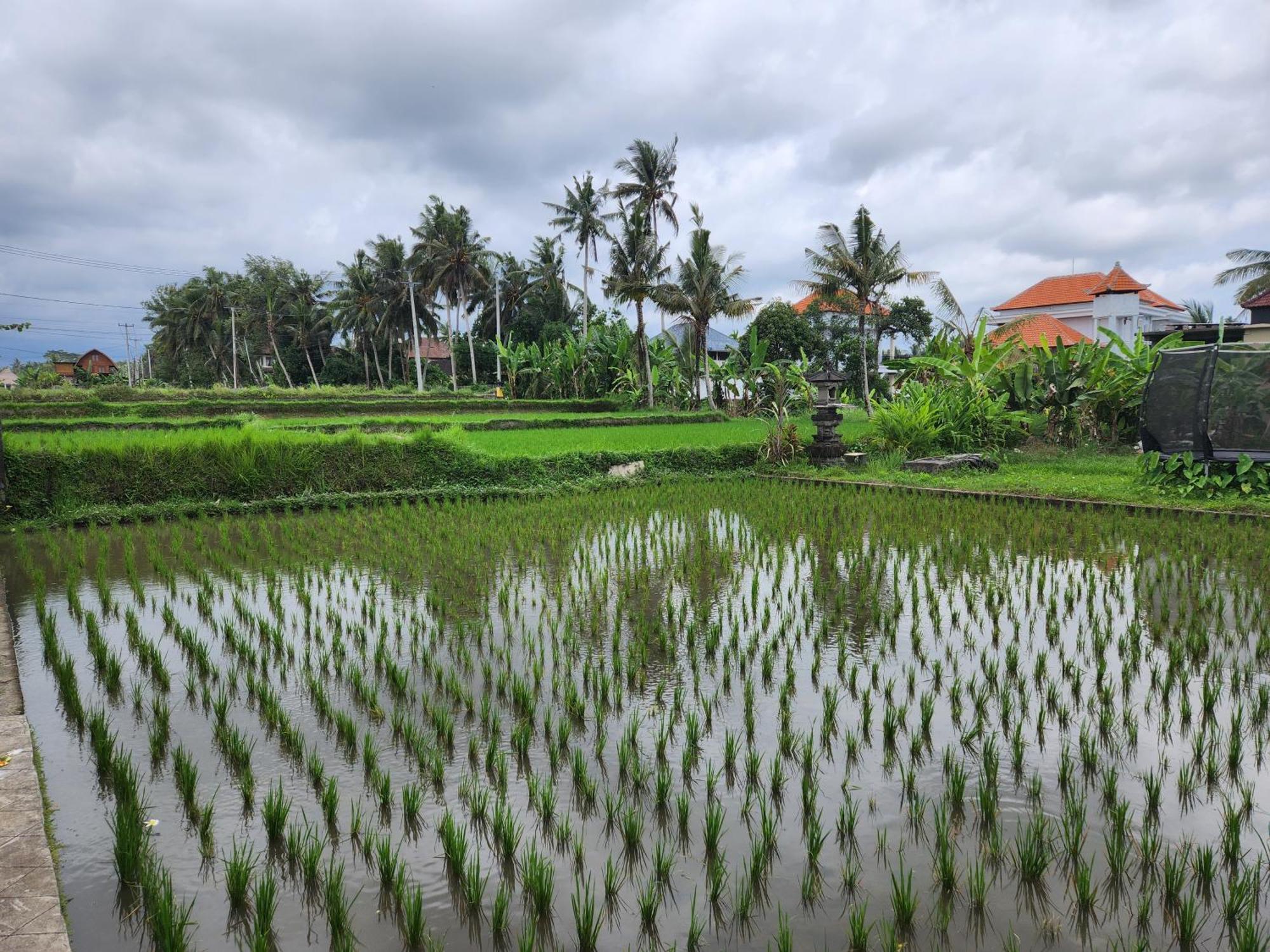 Villa Lanus Ubud Dış mekan fotoğraf
